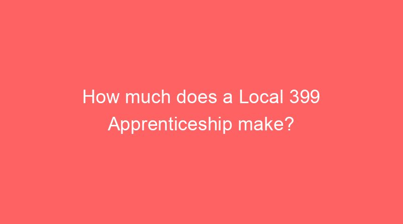 how much does a local 399 apprenticeship make 20462
