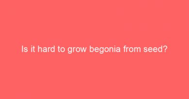 is it hard to grow begonia from seed 18148