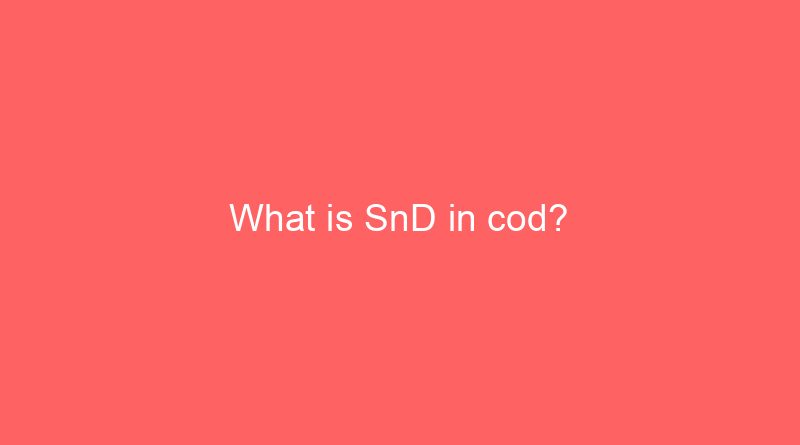 what is snd in cod 18316