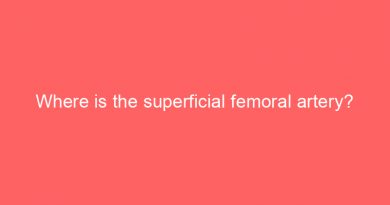 where is the superficial femoral artery 19507