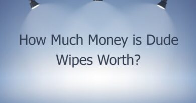 how much money is dude wipes worth 46043