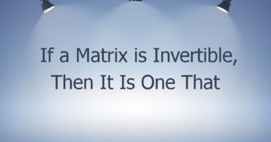 if a matrix is invertible then it is one that preserves the integer dimensionality of its vectors 44738