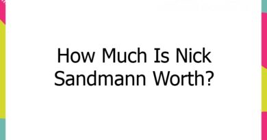 how much is nick sandmann worth 2 58132