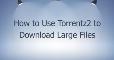 how to use torrentz2 to download large files 47725