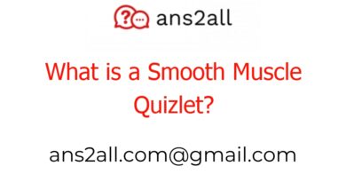 what is a smooth muscle quizlet 48968