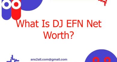 what is dj efn net worth 50203