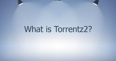 what is torrentz2 48310