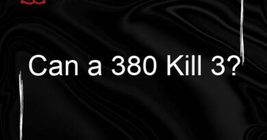 can a 380 kill 3 73105