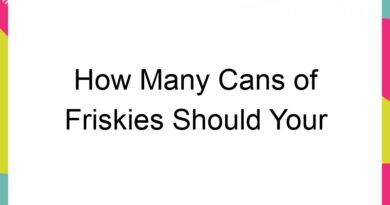 how many cans of friskies should your cat eat 59733