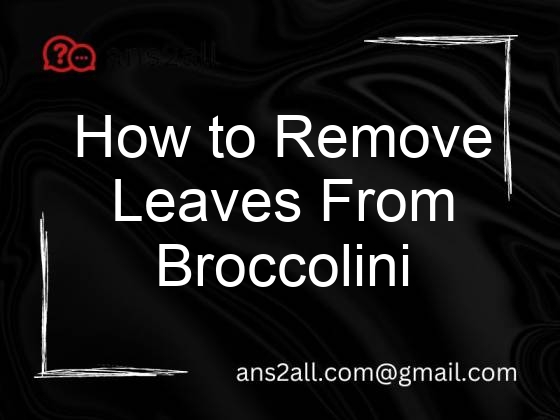 how to remove leaves from broccolini two ways 69437