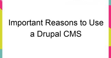 important reasons to use a drupal cms for your business 60213