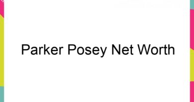 parker posey net worth 63608