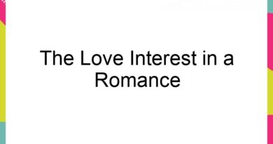 the love interest in a romance 62667