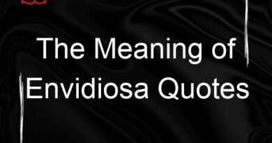 the meaning of envidiosa quotes 67799