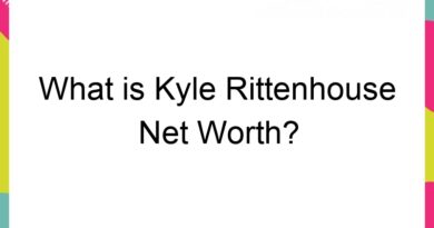 what is kyle rittenhouse net worth 3 65738