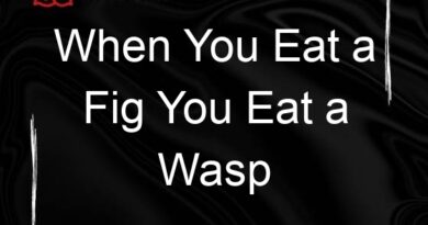 when you eat a fig you eat a wasp 70698