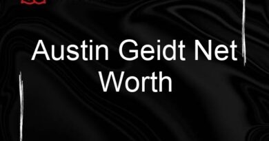 austin geidt net worth 89442