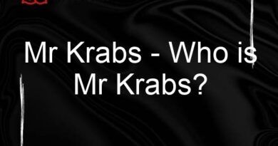 mr krabs who is mr krabs 75660
