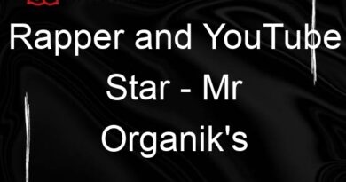 rapper and youtube star mr organiks net worth 89478