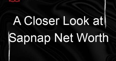 a closer look at sapnap net worth 103932