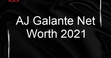 aj galante net worth 2021 104661
