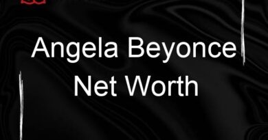 angela beyonce net worth 105201
