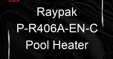 raypak p r406a en c pool heater 94305