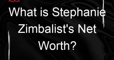 what is stephanie zimbalists net worth 104943