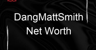 dangmattsmith net worth 108166
