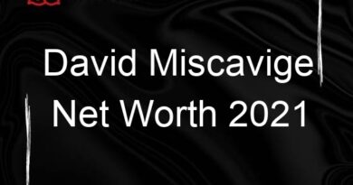 david miscavige net worth 2021 108182