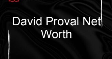 david proval net worth 108184