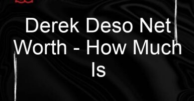 derek deso net worth how much is derek deso worth 2 106265