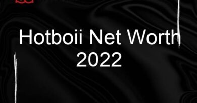 hotboii net worth 2022 106587