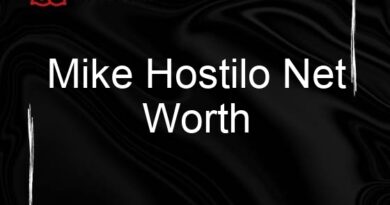 mike hostilo net worth 106993