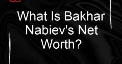 what is bakhar nabievs net worth 107984