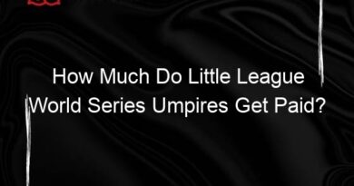 how much do little league world series umpires get paid 133778