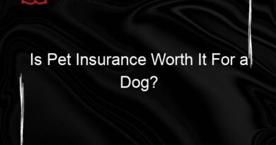 is pet insurance worth it for a dog 134490