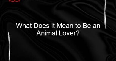 what does it mean to be an animal lover 134300