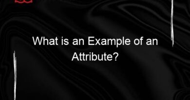 what is an example of an attribute 117762