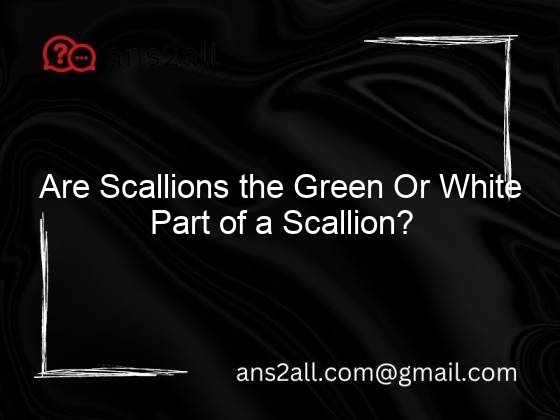 Are Scallions the Green Or White Part of a Scallion?