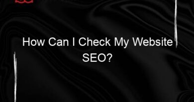 How Can I Check My Website SEO?