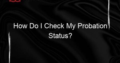 How Do I Check My Probation Status?
