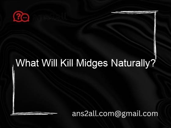 What Will Kill Midges Naturally?
