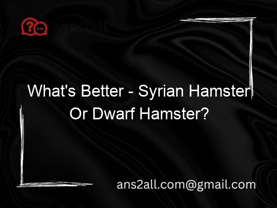 What's Better Syrian Hamster Or Dwarf Hamster?